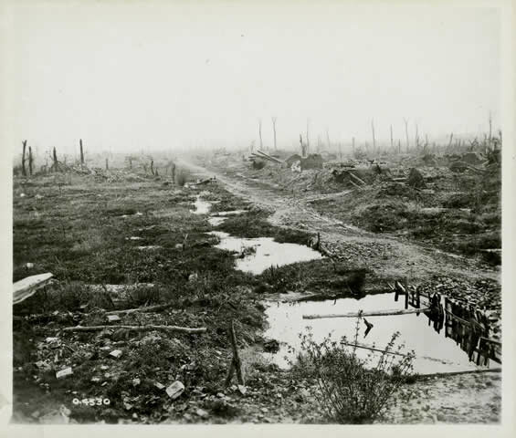 The Battle of Festubert