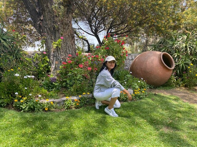 OBJETIVO DE ESTE PROYECTO