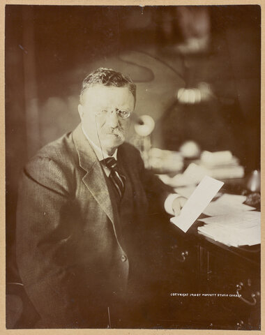 Theodore Roosevelt was Elected