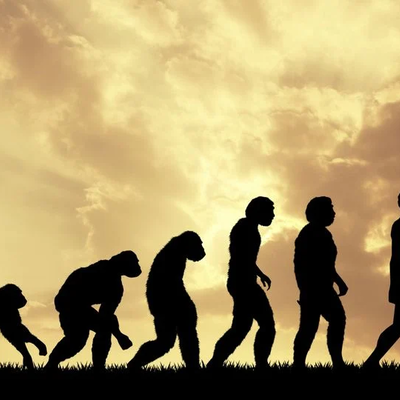 Timeline: A evolução dos microprocessadores