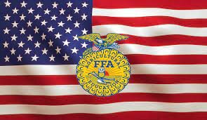 NFA Merges with FFA