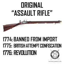 Firearm Imports Banned