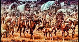 The Cherokees are Forced to Move