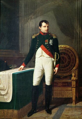 NAPOLEON EN EL PODER