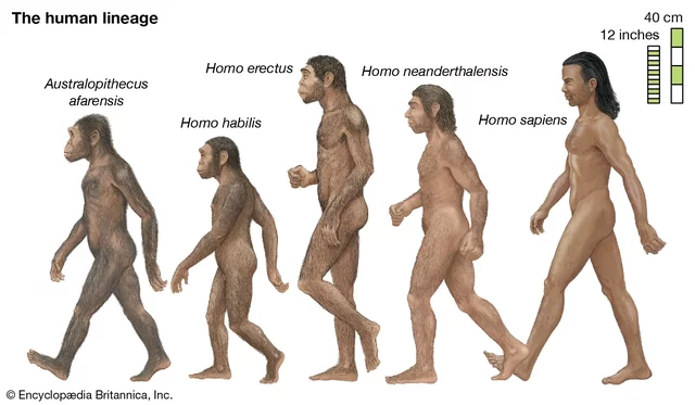 First Form of Humans