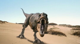 Timeline: Línia del temps història de la terra