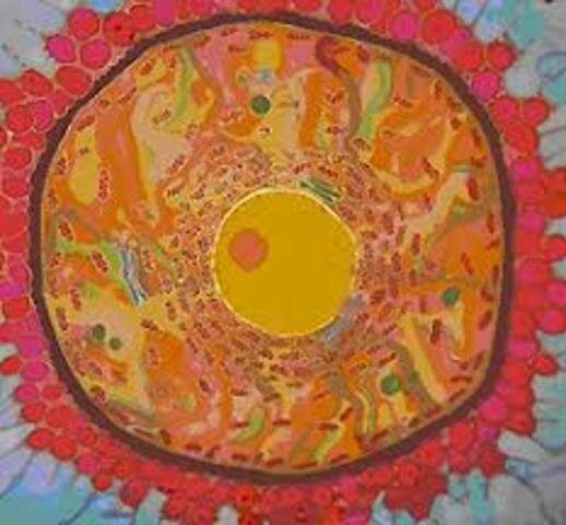 Aparición de células