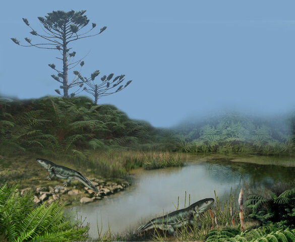 Vida en el medio terrestre