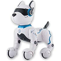 Robot dog    --   Jacky