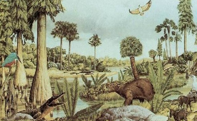 Resurgimiento de la vida