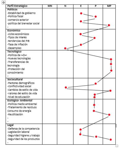 PLANTILLA PERFIL ESTRATÉGICO