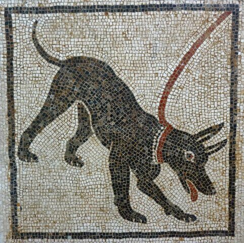 Cave Canem S.I Pompeya