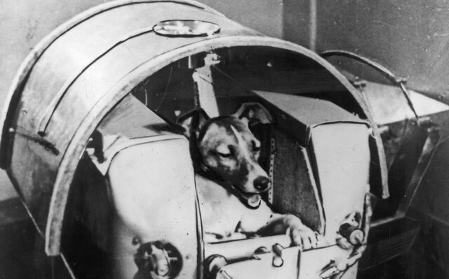 Sputnik 2 och Hunden lajka
