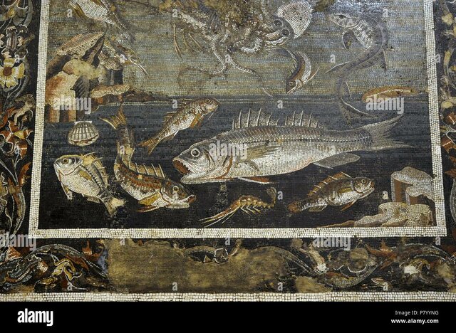 Mosaico con peces en Pompeya S.I AC