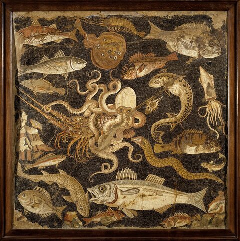 Mosaico con temas de moluscos en la casa del Fauno en Pompeya