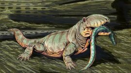 Timeline: Палеозой