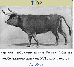 ТУР (Польща)