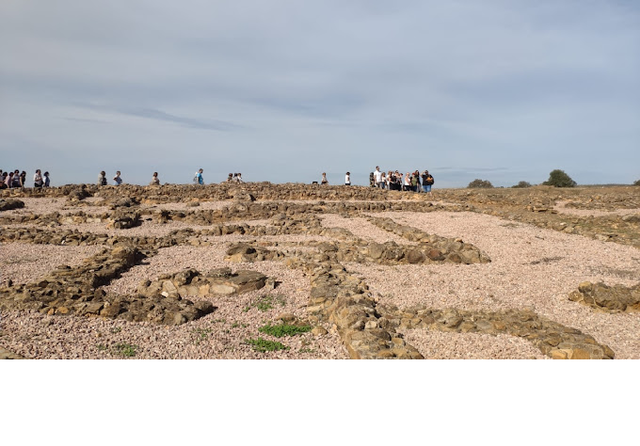 Yacimiento de Tejada la Vieja