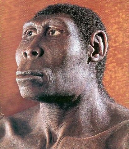 Человек прямоходящий