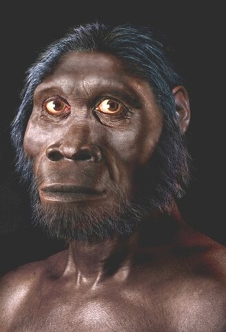 Человек умелый