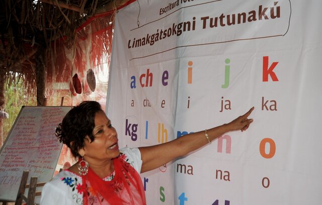 Decreto No. 804 de 1995