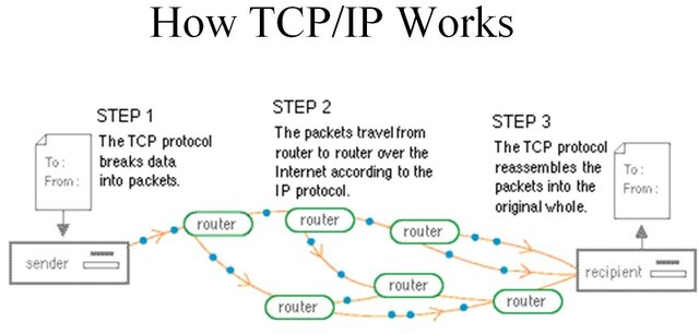 TCP/IP Protocol