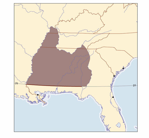 Pinckney's Treaty