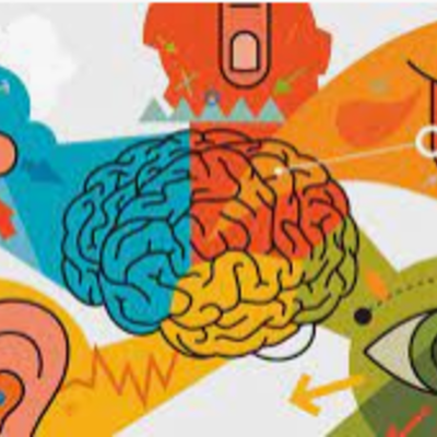 Timeline: Recorrido en el estudio de los procesos sensoperceptivos