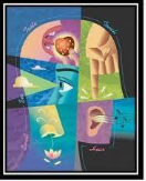 Enfoque empirista de la percepcion