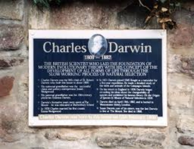 Darwin's burial