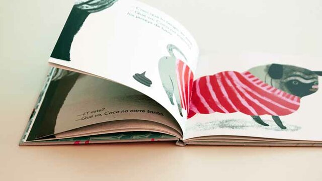 Podemos hablar de álbum ilustrado