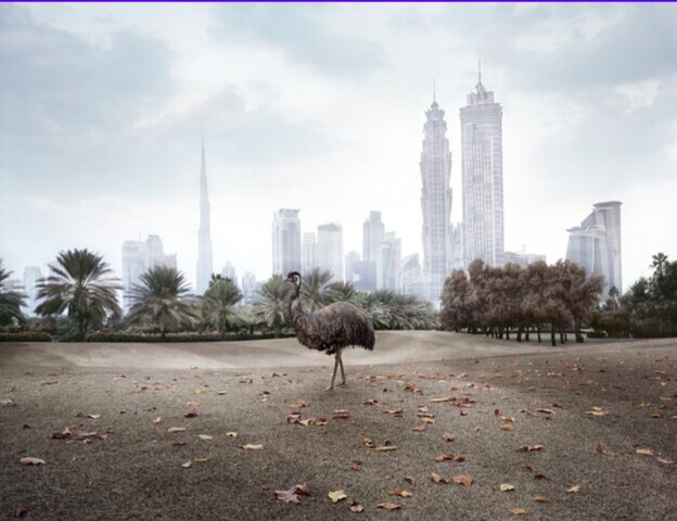 30 dias sin petroleo