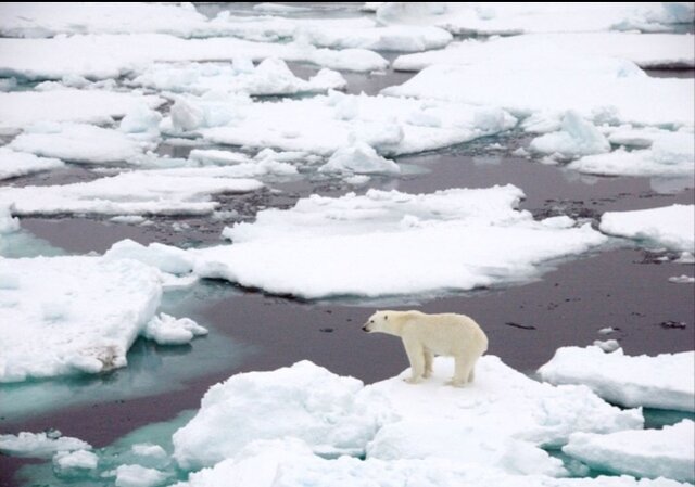 Derretimiento del hielo