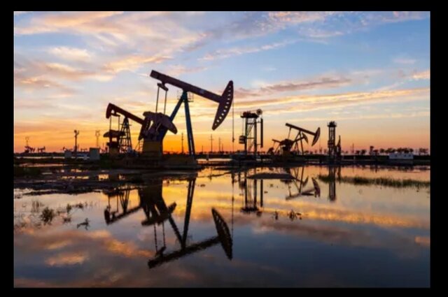 6 meses sin petroleo