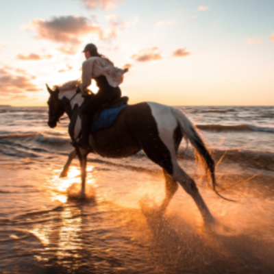 Timeline: horseback riding