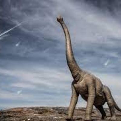 Timeline: La Història de la Terra