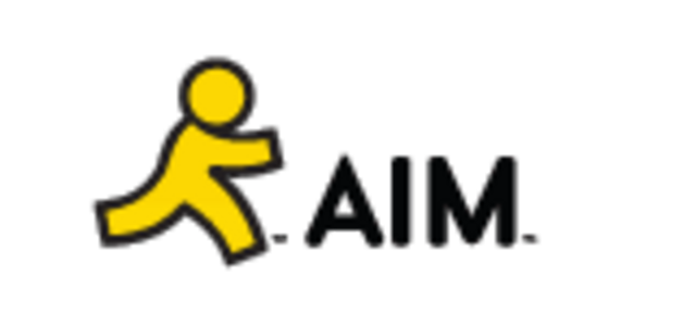 Largest instant messaging program was launched