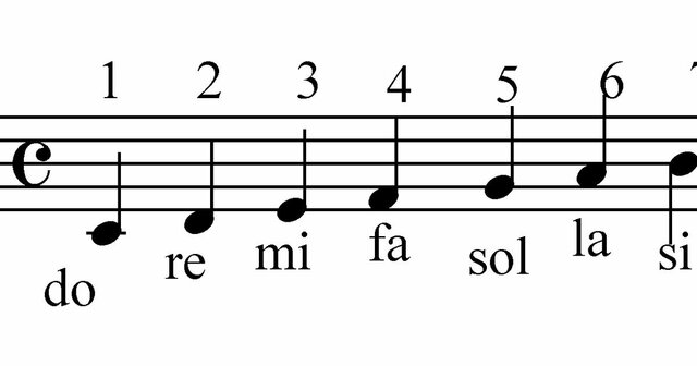 Primeras siete notas