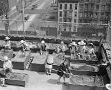 Resurgimiento en los 60s