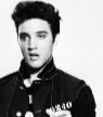 Elvis