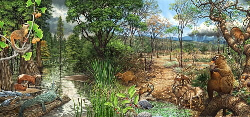 Paleógeno (66-23 Ma)