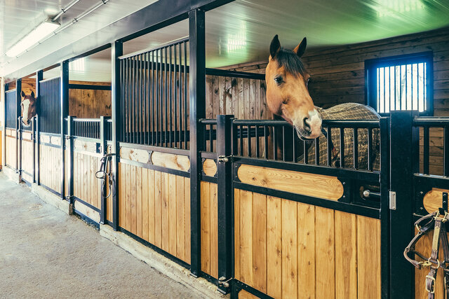 cleaning out the stalls