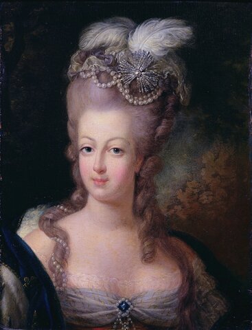 Marie Antoinette Marries Louis XVI