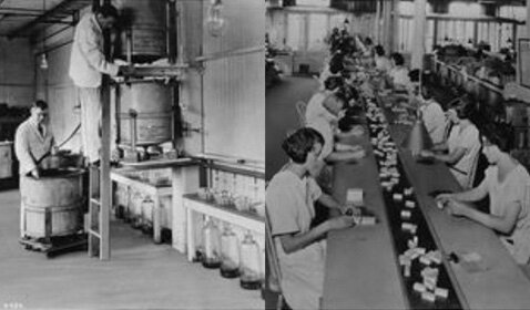 Beginning of the production of insulin