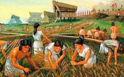 Epoca o periodo Agricola