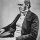 Charles darwin seated crop