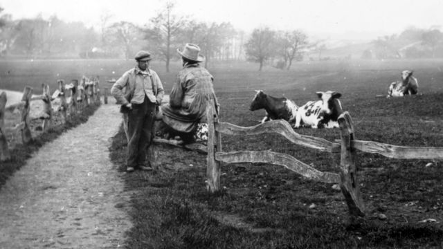 The Enclosure Movement Begins in England