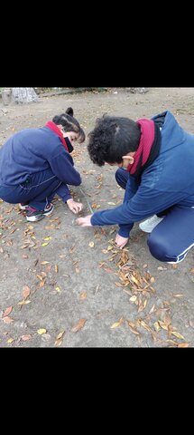 Marcando circunferencia