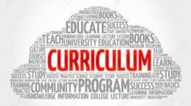 Timeline: Evolución del Curriculo