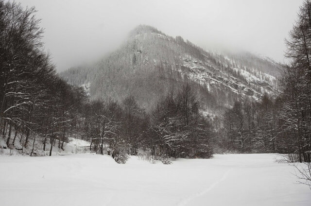 Création de parcs naturels nationaux